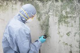 Best Crawl Space Mold Remediation  in Hunter, OH